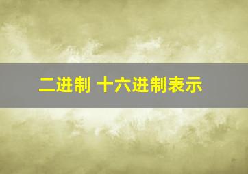 二进制 十六进制表示